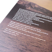 Load image into Gallery viewer, We Lost The Sea - Crimea LP (Dunk! Records)
