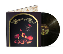 Load image into Gallery viewer, FAETOOTH - Remnants of the Vessel LP