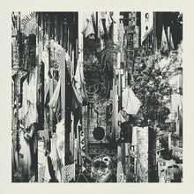 Load image into Gallery viewer, Wren - Black Rain Falls