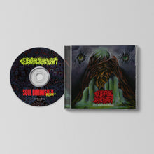 Load image into Gallery viewer, Celestial Sanctuary - Soul Diminished (REDUX)