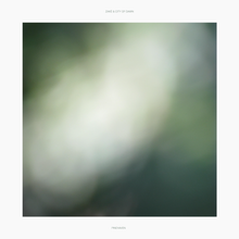 Load image into Gallery viewer, Zakè & City Of Dawn - Pinehaven Lp (Dunk! Records)
