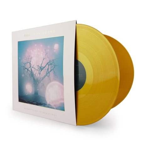 Pray For Sound - Everything Is Beautiful 2XLP (Dunk! Records)