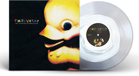 FLESHWATER - WE'RE NOT HERE TO BE LP