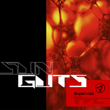 Load image into Gallery viewer, Sun Guts - Supervoid PRE-ORDER
