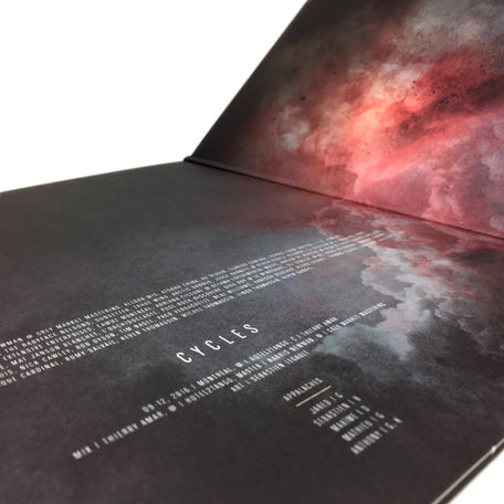 Appalaches - Cycles 2XLP (Dunk! Records)