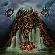 Celestial Sanctuary - Soul Diminished
