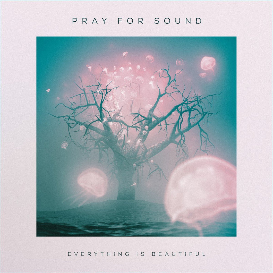Pray For Sound - Everything Is Beautiful 2XLP (Dunk! Records)